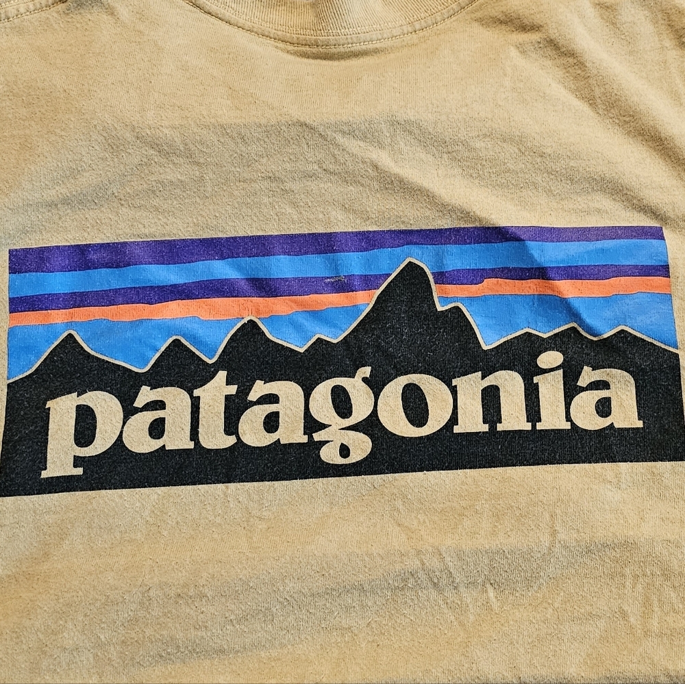 Patagonia Mens Small  tshirt